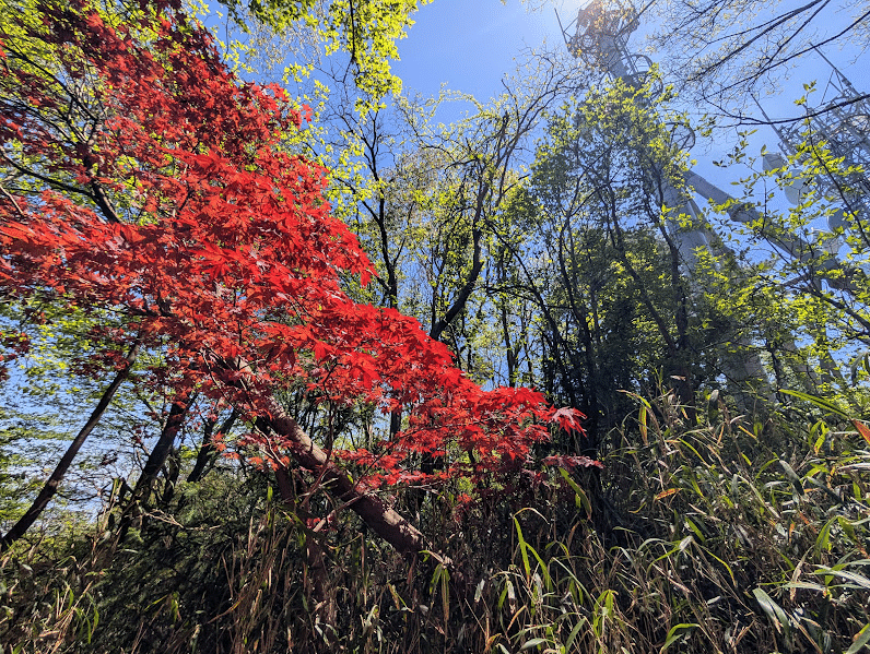画像